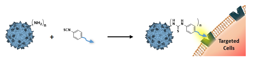 Glyco-coated virus for gene therapy