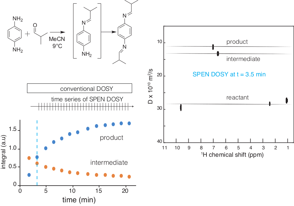 MIMM NMR 5 Fast multidimensional NMR of out-of-equilibrium systems