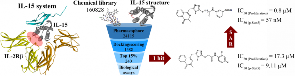 Identification and development of small MW molecules as agonists or antagonists of the IL-15 system