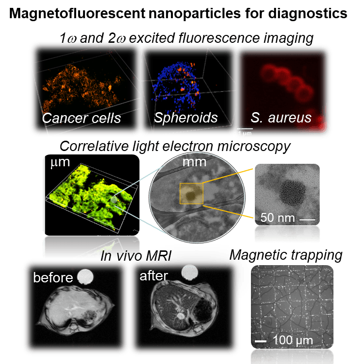 IMF - Bioimaging magneto-fluorescent nanomaterials