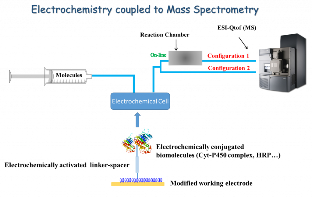 IMF - Electrochemistry to mass spectrometry