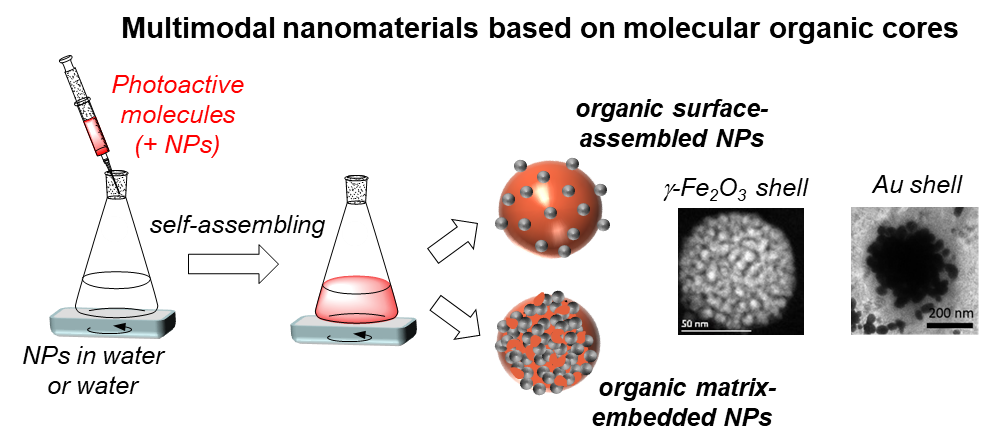 IMF - MULTIMODAL PHOTOACTIVE NANOMATERIALS FOR BIOIMAGING AND THERAPY