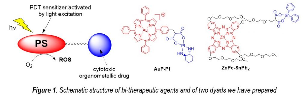 IMF - Photodynamic therapy against cancer