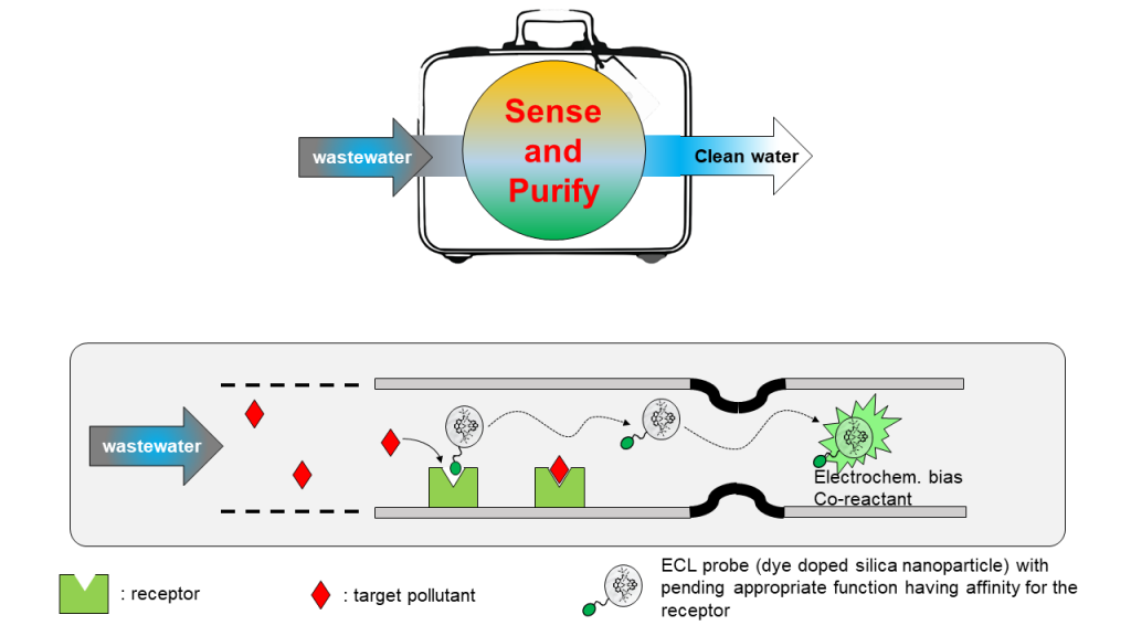 IMF materiaux detection elimination polluants eaux usees