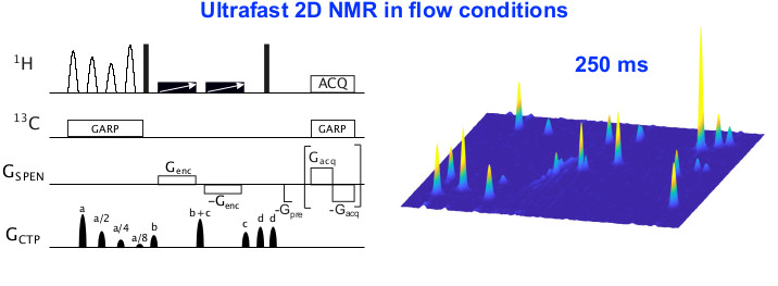 NMR Methodology CEISAM Institute