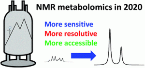 NMR-based metabolomics and fluxomics developments and future prospects